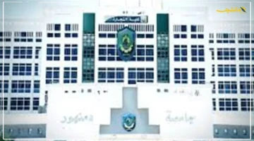 أرقام وإنجازات.. حصاد الأنشطة الطلابية بجامعة دمنهور يكشف عن فرص لمستقبل الطلاب بعد التخرج 1